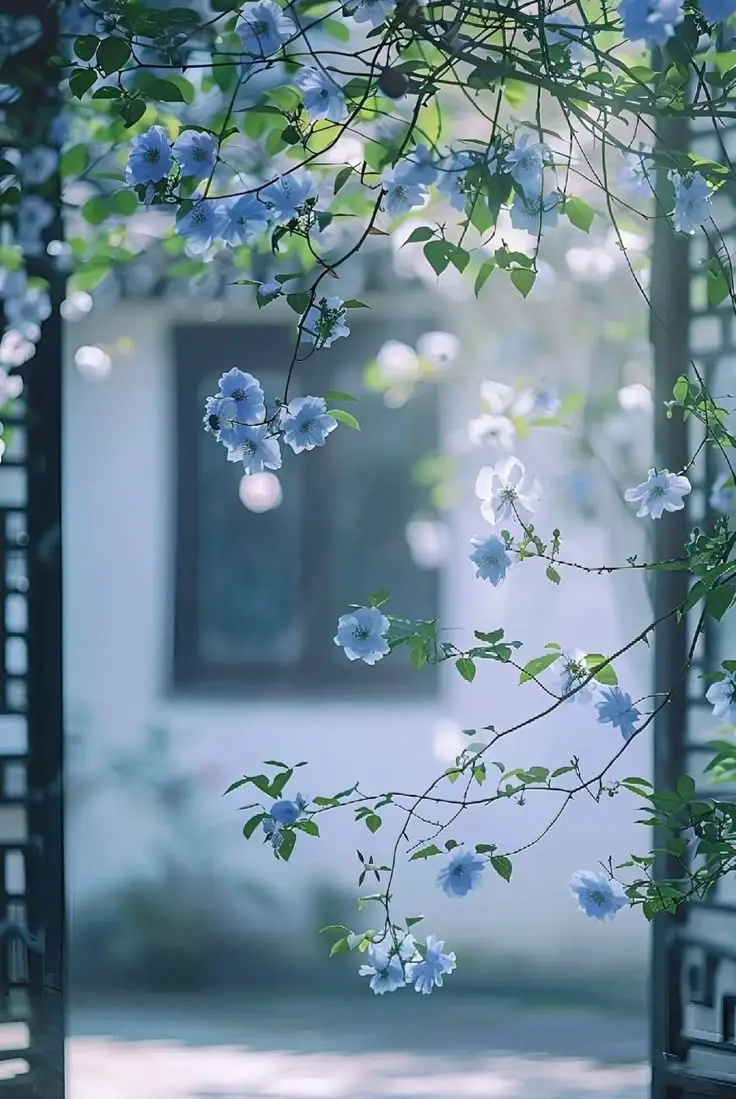 Vintage chill hình nền hoa tulip Pinterest – Khám phá bộ sưu tập tuyệt đẹp