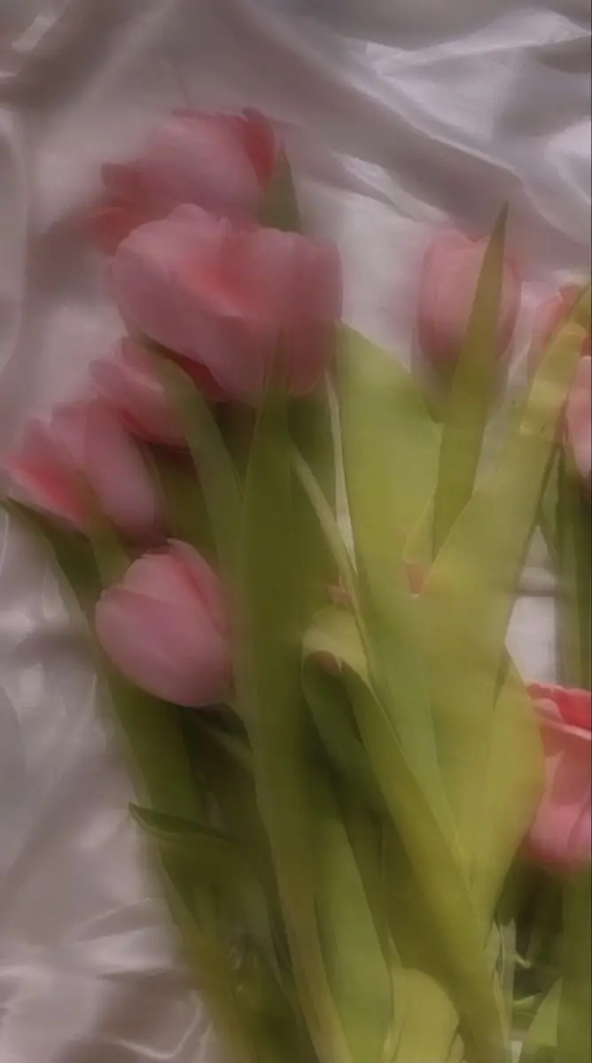 Vintage chill hình nền hoa tulip Pinterest - Khám phá bộ sưu tập tuyệt đẹp 33