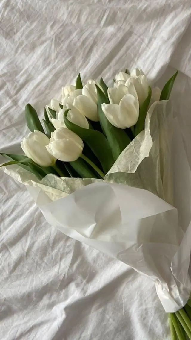 Vintage chill hình nền hoa tulip Pinterest - Khám phá bộ sưu tập tuyệt đẹp 35