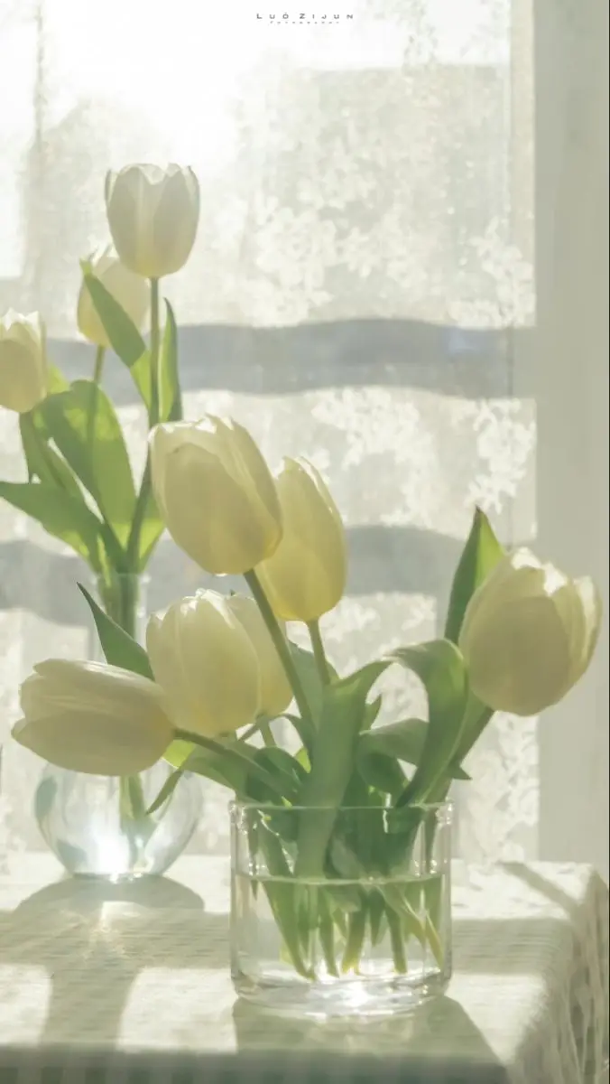 Vintage chill hình nền hoa tulip Pinterest - Khám phá bộ sưu tập tuyệt đẹp 49