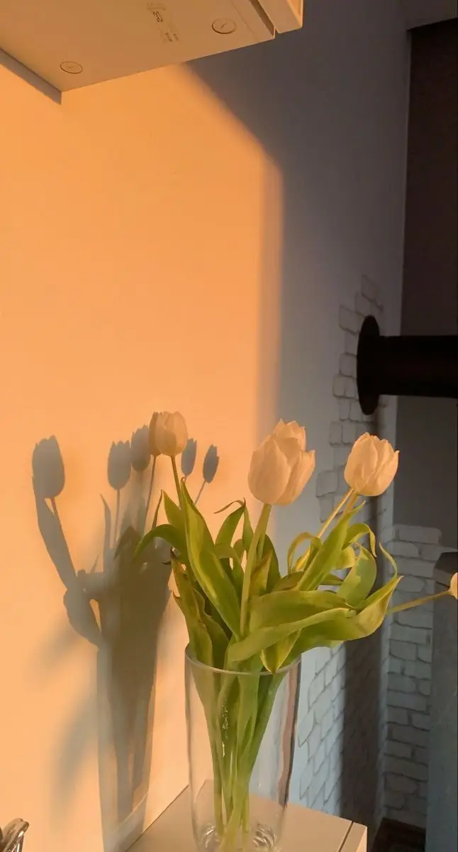 Vintage chill hình nền hoa tulip Pinterest - Khám phá bộ sưu tập tuyệt đẹp 51
