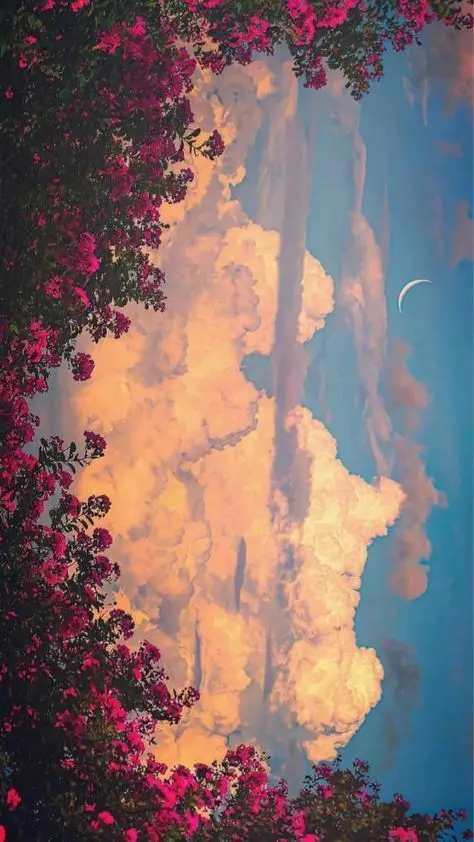 Vintage wallpapers: Hình nền Pinterest đẹp và độc đáo 17